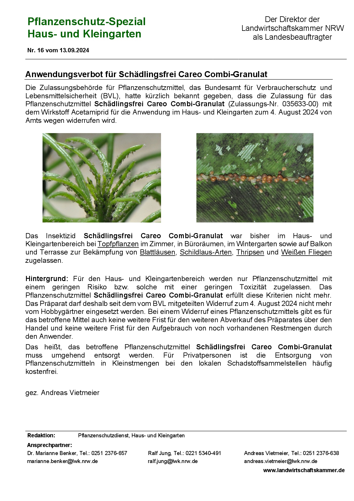 Bild 16